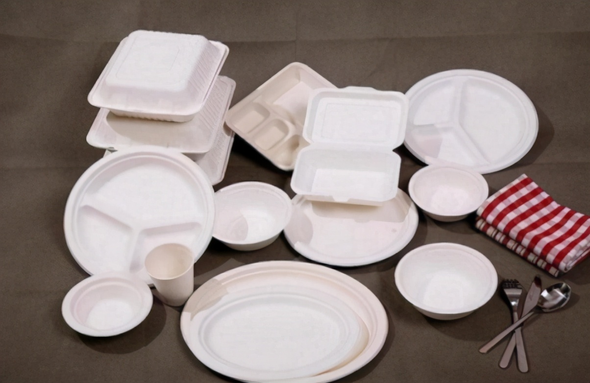 Green Revolution at the table: Experts reveal the secrets of eco-friendly tableware, are you ready to meet?